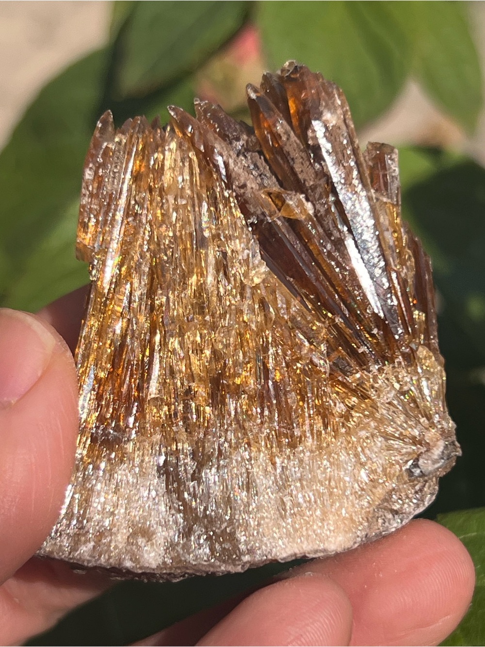 Amber (3) calcite specimen | Crystal